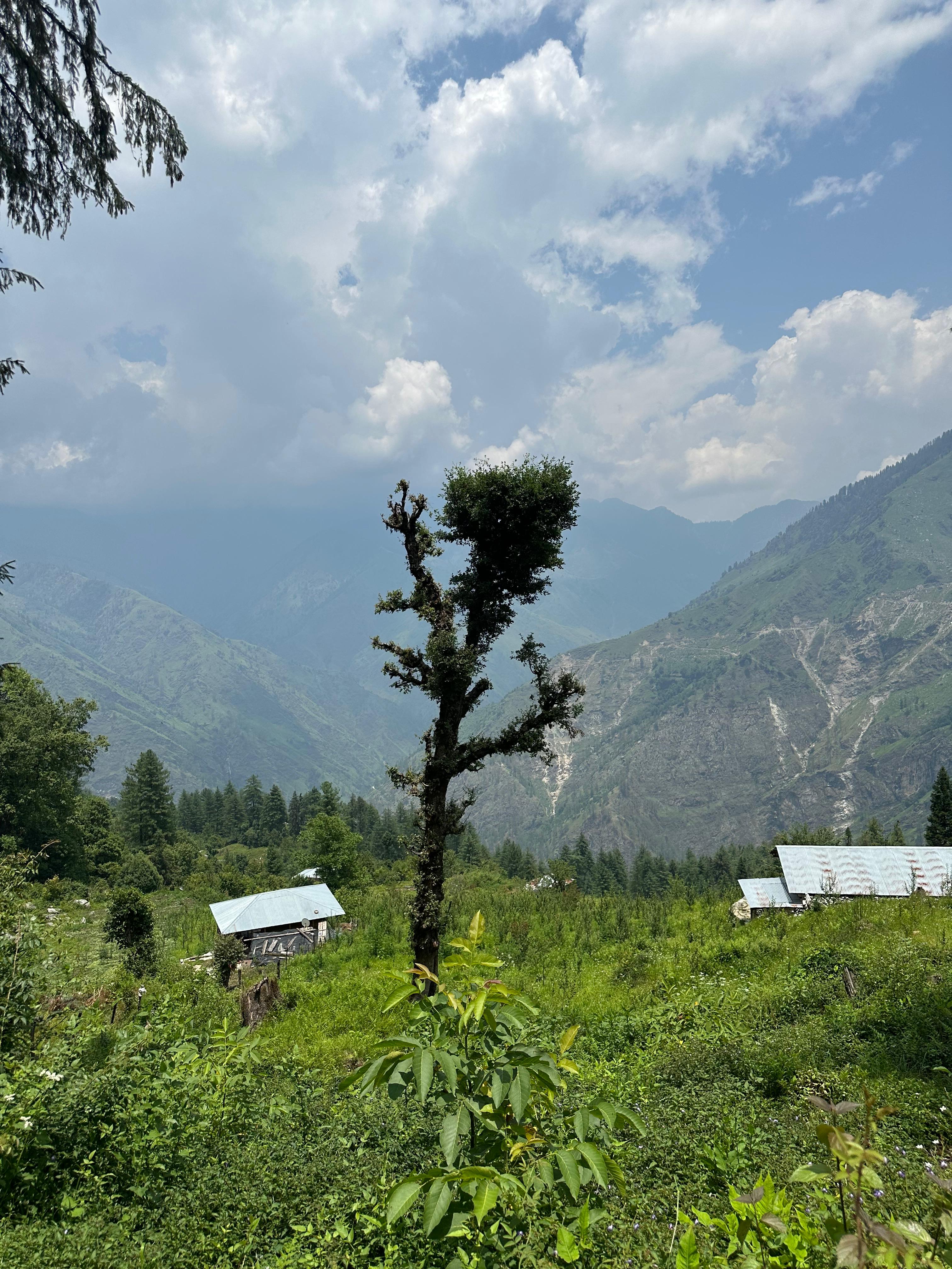 Mountain valley and forest photographed during a travel content journey in India