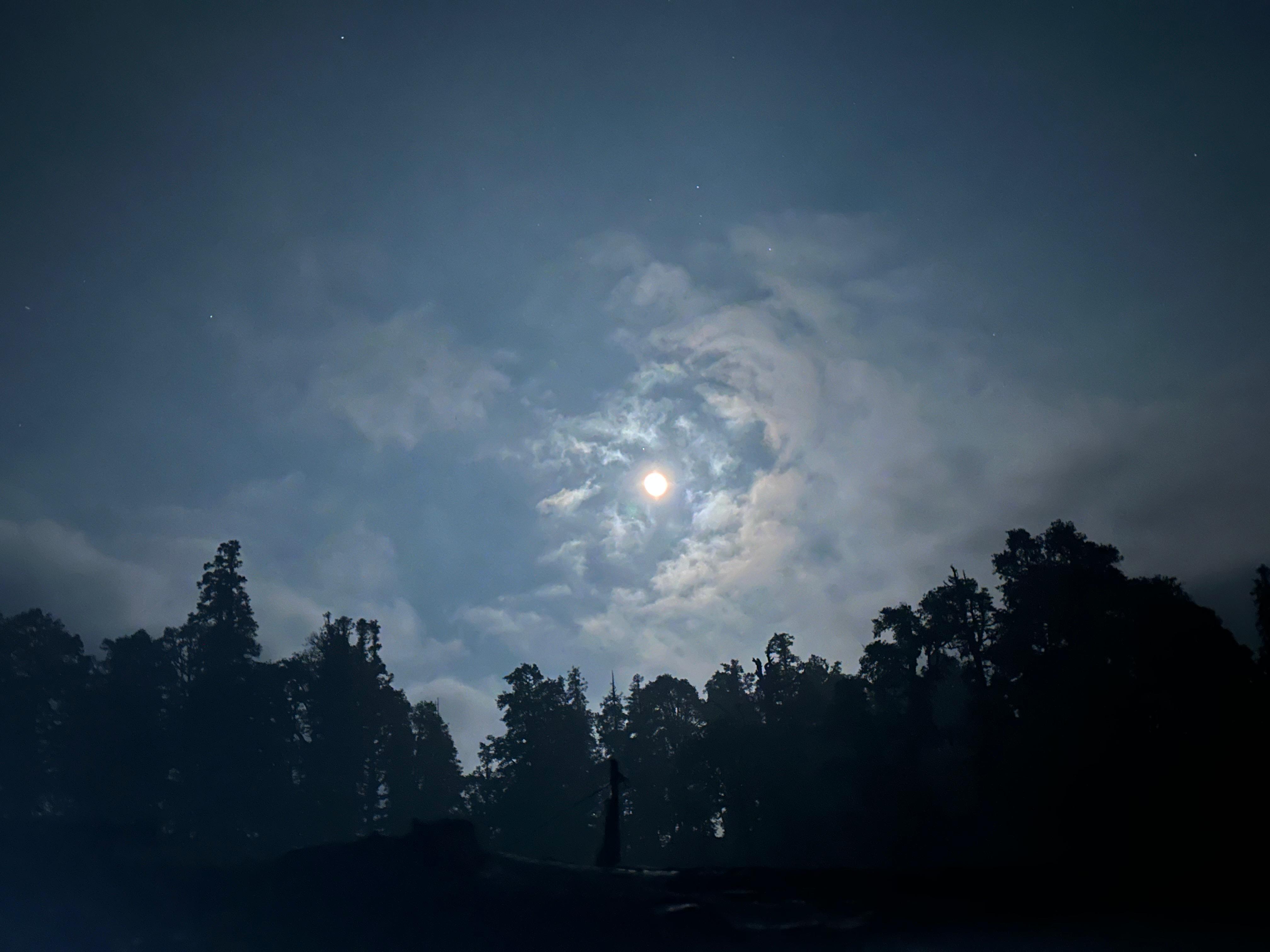 Moonlit mountain forest captured as an atmospheric moment for a travel vlog